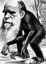 Darwin - http://hss.sas.upenn.edu/mt-static/stsc/