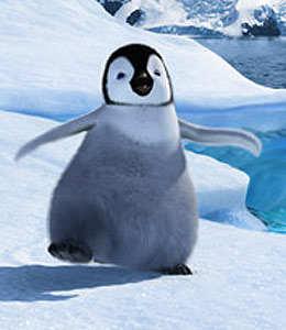 Pingüino Emperador Patagónico